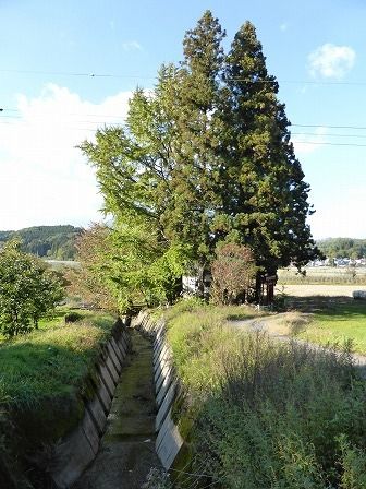イメージ 10
