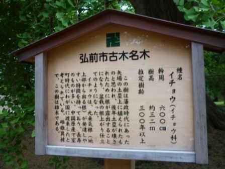 イメージ 8