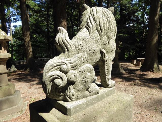 イメージ 10