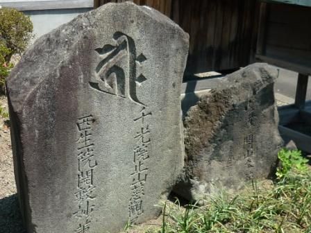 イメージ 11