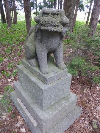 イメージ 7