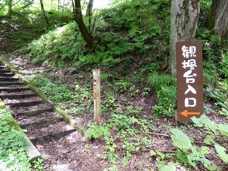 イメージ 92