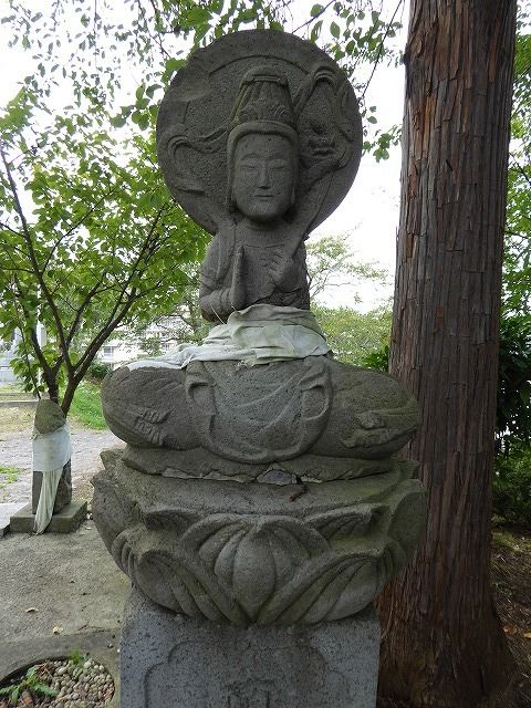 イメージ 31