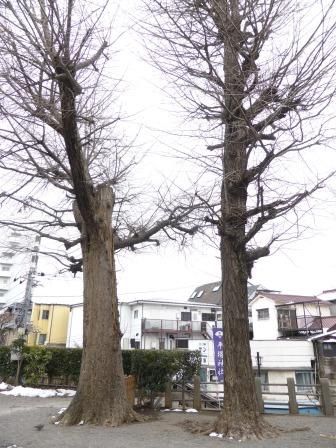 イメージ 19