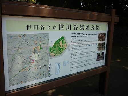 イメージ 6