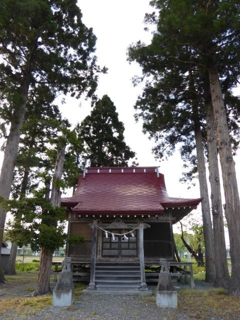 イメージ 3