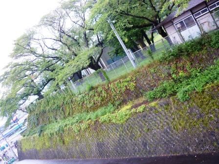 イメージ 13