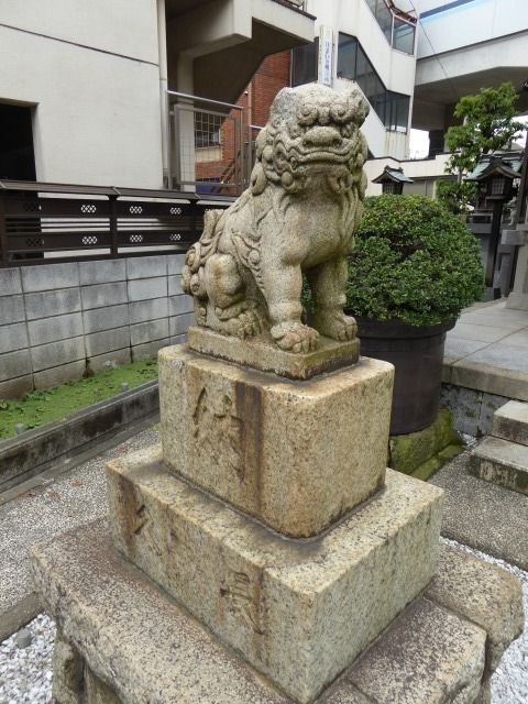 イメージ 12