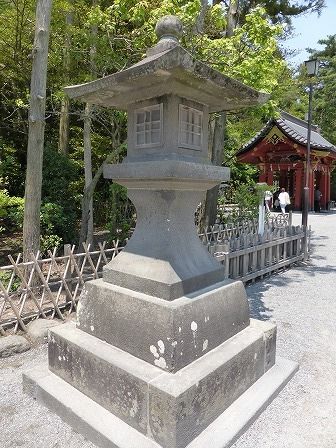 イメージ 12