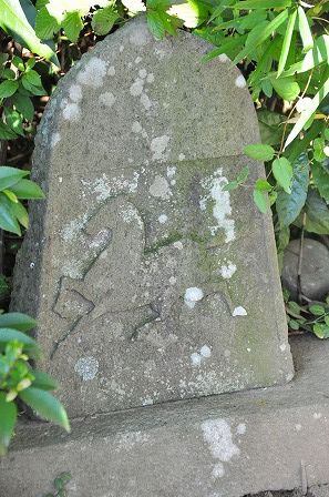 イメージ 8