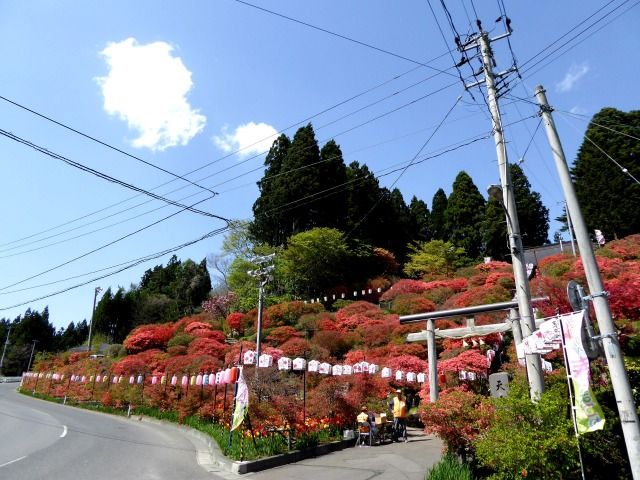 イメージ 1