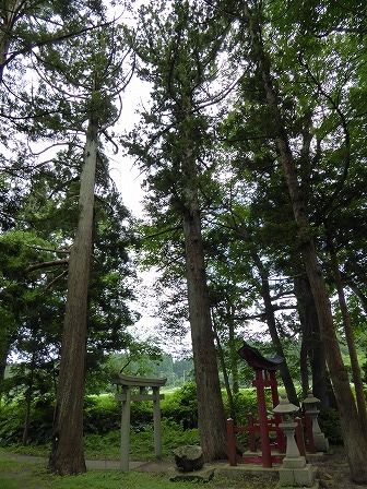 イメージ 5