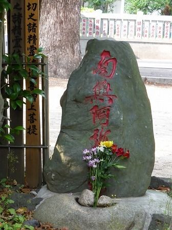 イメージ 41