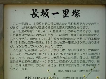イメージ 9