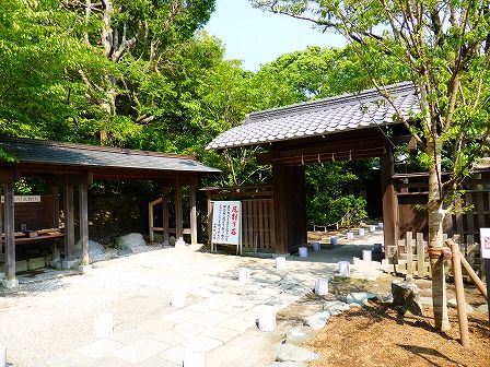 イメージ 15
