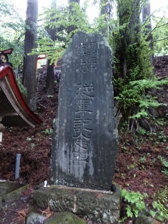 イメージ 31