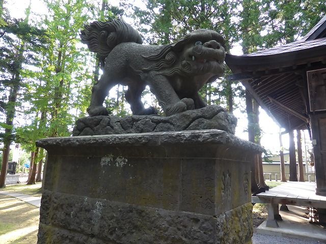 イメージ 35