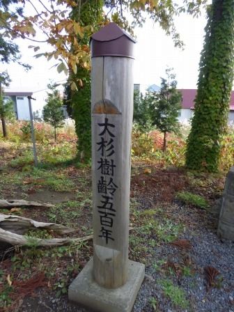 イメージ 12