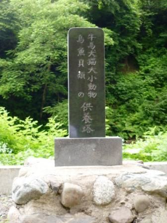 イメージ 6