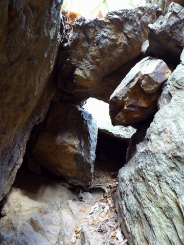 29