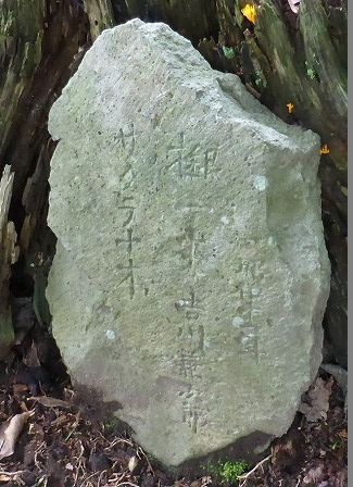 イメージ 23