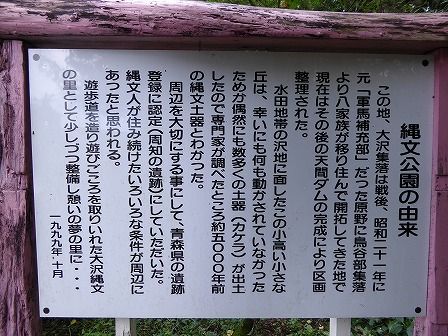 イメージ 7
