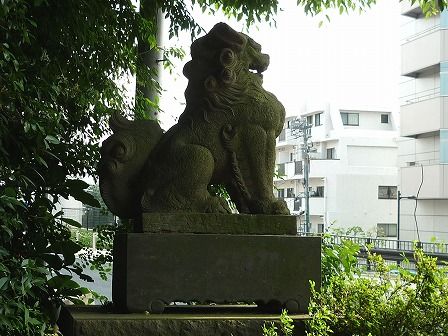 イメージ 6