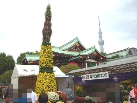イメージ 32