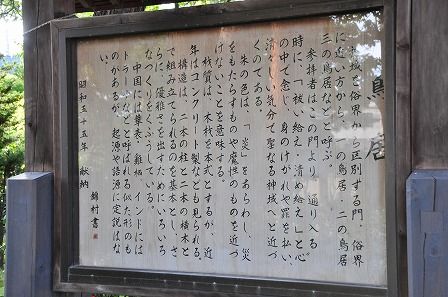 イメージ 6