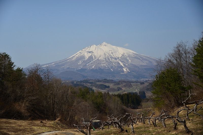 イメージ 1