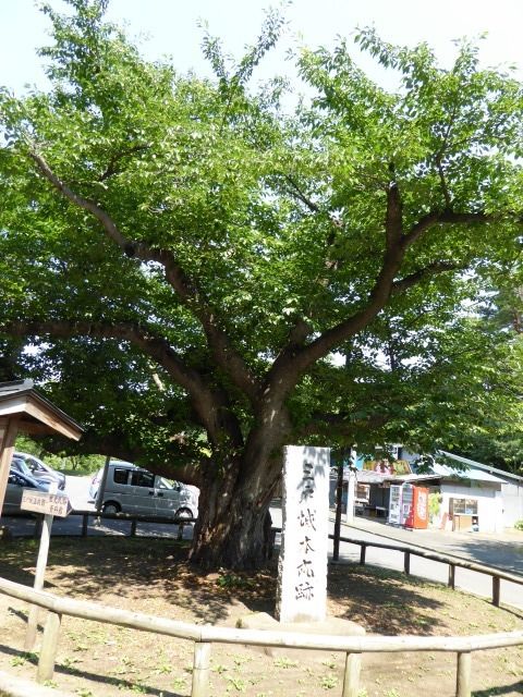 イメージ 21