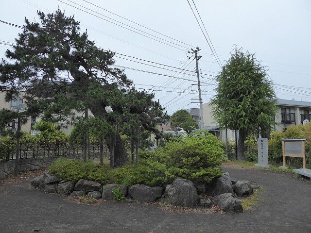 献体之碑 と 大黒松小公園 くぐる鳥居は鬼ばかり 献体之碑 と 大黒松小公園 くぐる鳥居は鬼ばかり