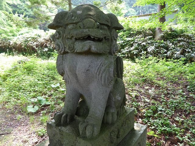 イメージ 16