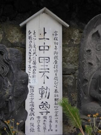 イメージ 5
