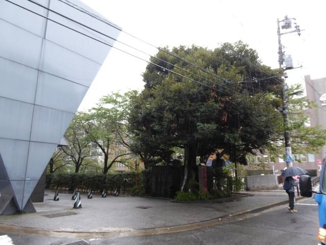 イメージ 18