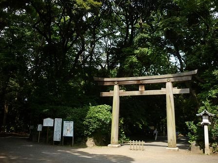 イメージ 43