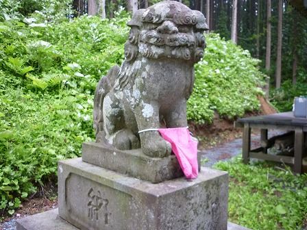 イメージ 14
