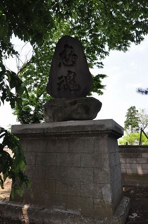イメージ 6