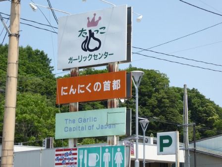 イメージ 8
