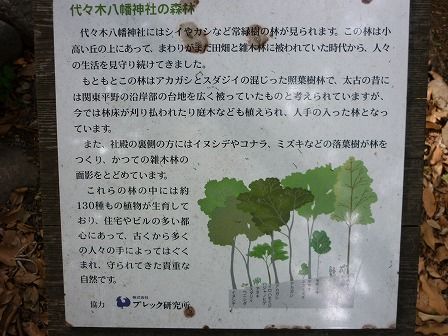 イメージ 15