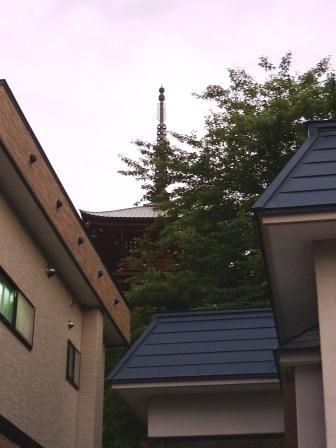 イメージ 4