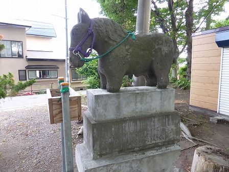 イメージ 13