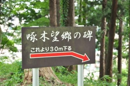 イメージ 45