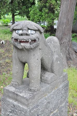 イメージ 12