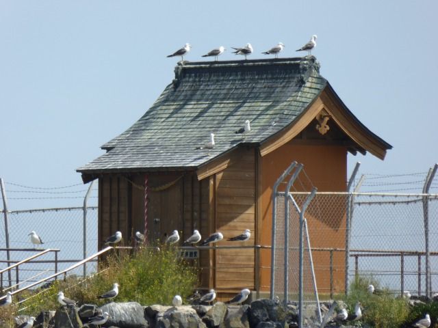 イメージ 9