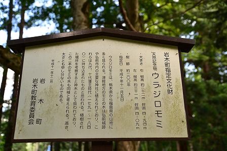 イメージ 34
