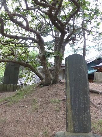 イメージ 43