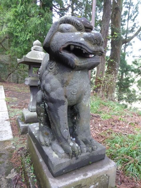 イメージ 14