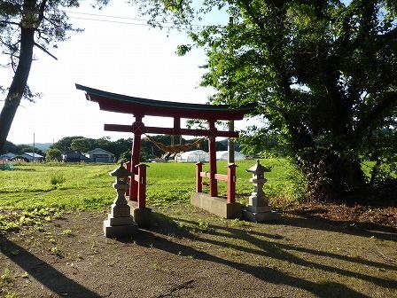 イメージ 7
