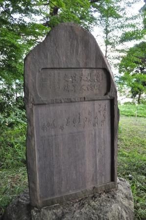 イメージ 11